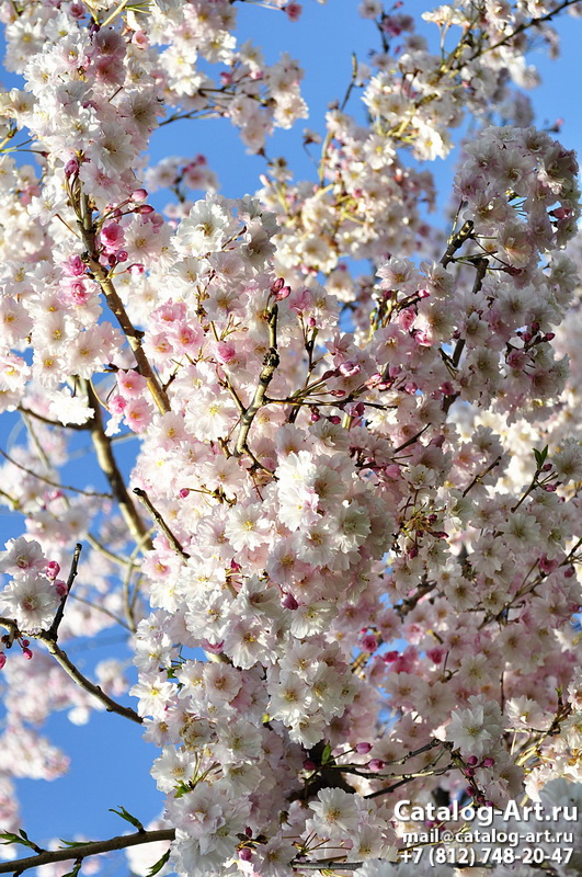 Blossom tree 104